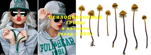 МДПВ Медногорск