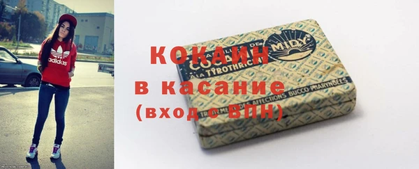 ГАЛЛЮЦИНОГЕННЫЕ ГРИБЫ Михайлов