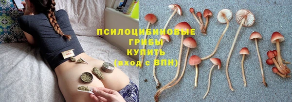 прущий лед Майский
