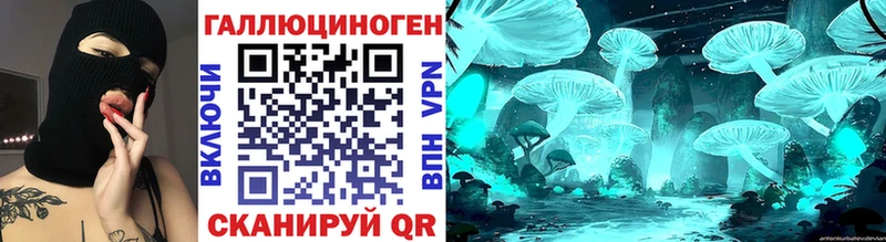 Купить закладки  Аша  Псилоцибиновые грибы Psilocybine cubensis 